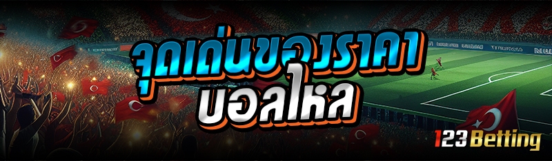 จุดเด่นของราคาบอลไหล 