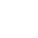 icon password input